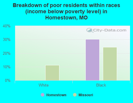 Breakdown of poor residents within races (income below poverty level) in Homestown, MO