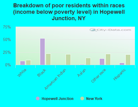 Breakdown of poor residents within races (income below poverty level) in Hopewell Junction, NY