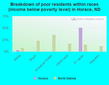 Breakdown of poor residents within races (income below poverty level) in Horace, ND