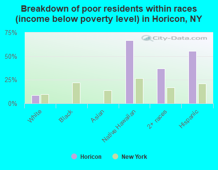 Breakdown of poor residents within races (income below poverty level) in Horicon, NY