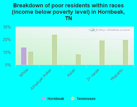Breakdown of poor residents within races (income below poverty level) in Hornbeak, TN