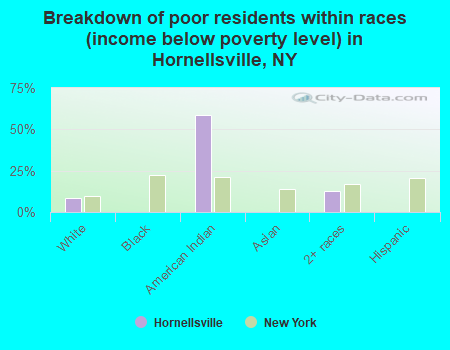 Breakdown of poor residents within races (income below poverty level) in Hornellsville, NY
