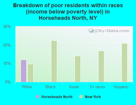 Breakdown of poor residents within races (income below poverty level) in Horseheads North, NY