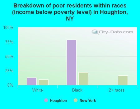 Breakdown of poor residents within races (income below poverty level) in Houghton, NY