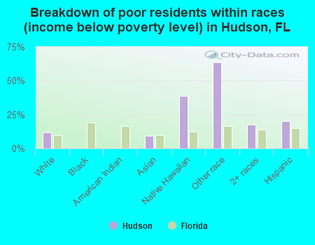 Breakdown of poor residents within races (income below poverty level) in Hudson, FL