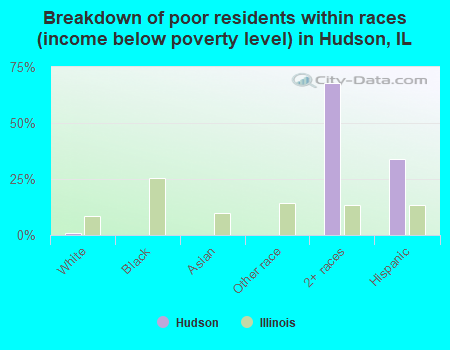 Breakdown of poor residents within races (income below poverty level) in Hudson, IL
