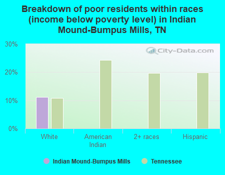 Breakdown of poor residents within races (income below poverty level) in Indian Mound-Bumpus Mills, TN