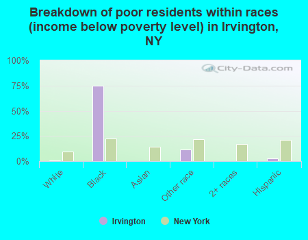 Breakdown of poor residents within races (income below poverty level) in Irvington, NY