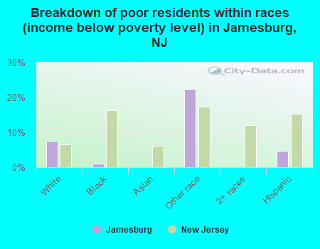 Breakdown of poor residents within races (income below poverty level) in Jamesburg, NJ