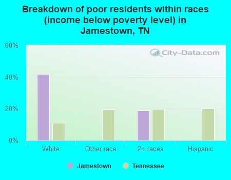 Breakdown of poor residents within races (income below poverty level) in Jamestown, TN