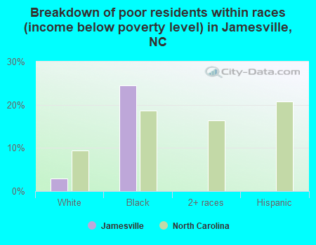Breakdown of poor residents within races (income below poverty level) in Jamesville, NC