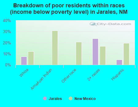 Breakdown of poor residents within races (income below poverty level) in Jarales, NM