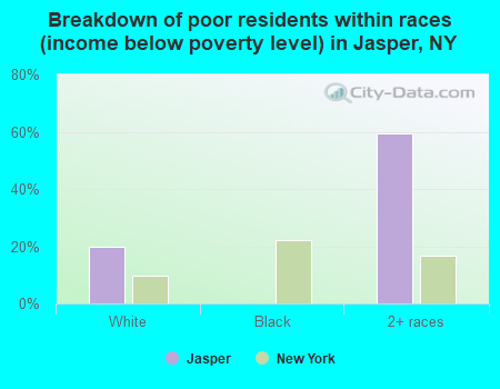 Breakdown of poor residents within races (income below poverty level) in Jasper, NY