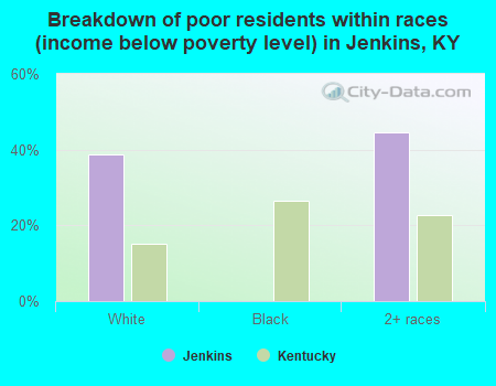 Breakdown of poor residents within races (income below poverty level) in Jenkins, KY