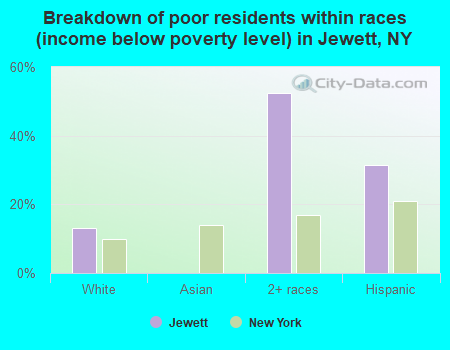 Breakdown of poor residents within races (income below poverty level) in Jewett, NY
