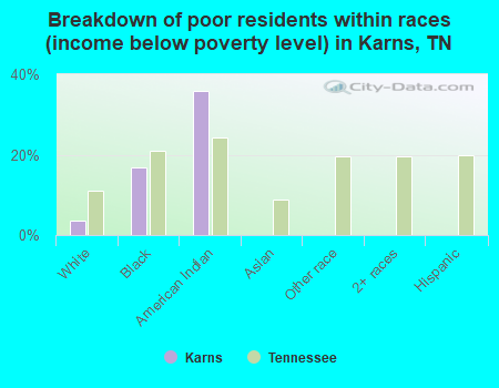 Breakdown of poor residents within races (income below poverty level) in Karns, TN