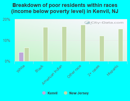 Breakdown of poor residents within races (income below poverty level) in Kenvil, NJ