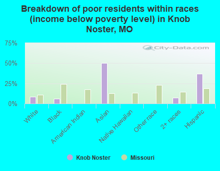 Breakdown of poor residents within races (income below poverty level) in Knob Noster, MO