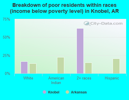 Breakdown of poor residents within races (income below poverty level) in Knobel, AR