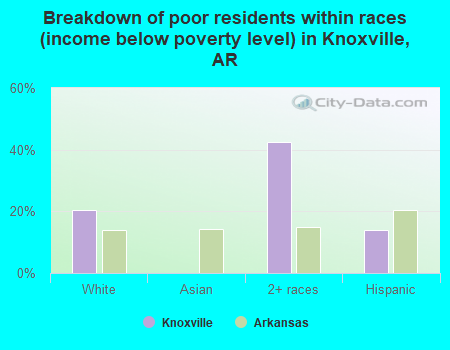 Breakdown of poor residents within races (income below poverty level) in Knoxville, AR