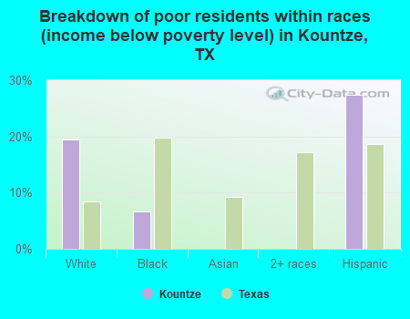 Breakdown of poor residents within races (income below poverty level) in Kountze, TX