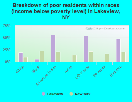 Breakdown of poor residents within races (income below poverty level) in Lakeview, NY