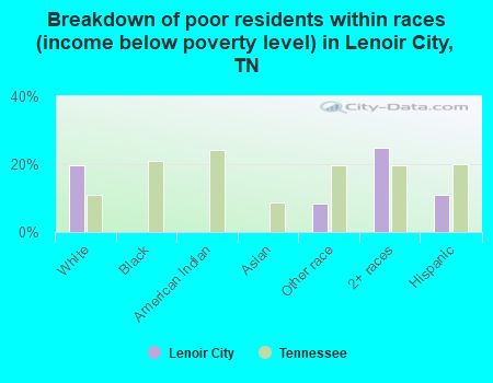 Breakdown of poor residents within races (income below poverty level) in Lenoir City, TN