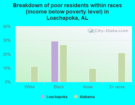 Breakdown of poor residents within races (income below poverty level) in Loachapoka, AL