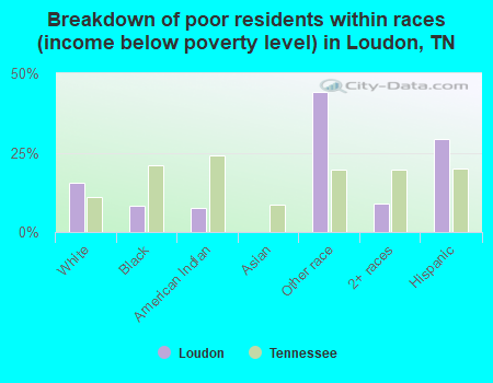Breakdown of poor residents within races (income below poverty level) in Loudon, TN