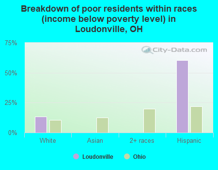 Breakdown of poor residents within races (income below poverty level) in Loudonville, OH