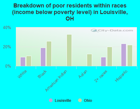 Breakdown of poor residents within races (income below poverty level) in Louisville, OH