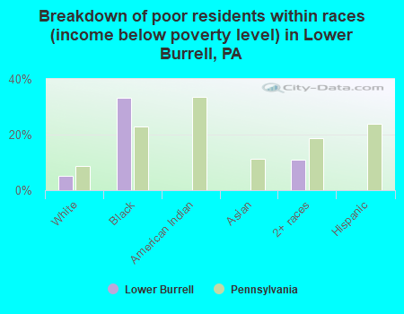 Breakdown of poor residents within races (income below poverty level) in Lower Burrell, PA