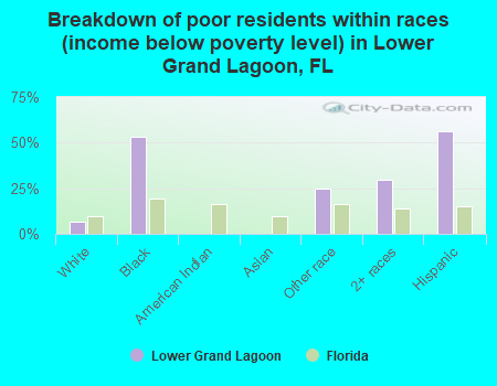 Breakdown of poor residents within races (income below poverty level) in Lower Grand Lagoon, FL