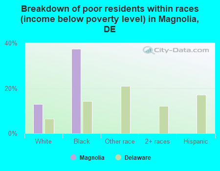 Breakdown of poor residents within races (income below poverty level) in Magnolia, DE