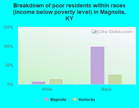 Breakdown of poor residents within races (income below poverty level) in Magnolia, KY