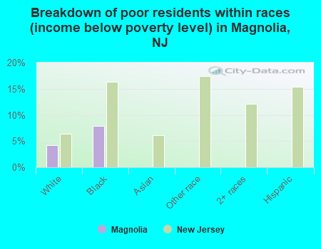 Breakdown of poor residents within races (income below poverty level) in Magnolia, NJ