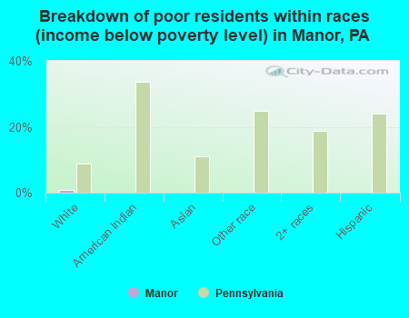 Breakdown of poor residents within races (income below poverty level) in Manor, PA