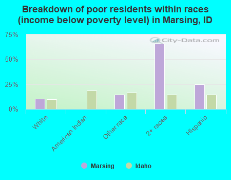 Breakdown of poor residents within races (income below poverty level) in Marsing, ID