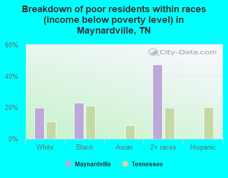 Breakdown of poor residents within races (income below poverty level) in Maynardville, TN