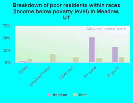 Breakdown of poor residents within races (income below poverty level) in Meadow, UT