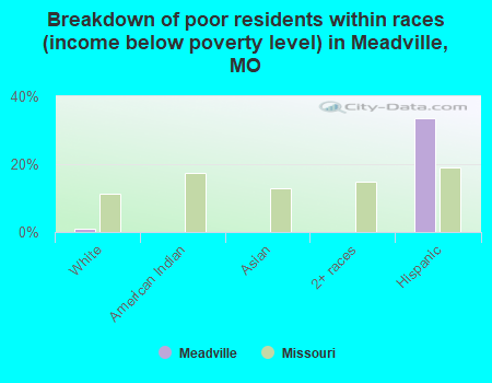 Breakdown of poor residents within races (income below poverty level) in Meadville, MO