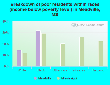 Breakdown of poor residents within races (income below poverty level) in Meadville, MS