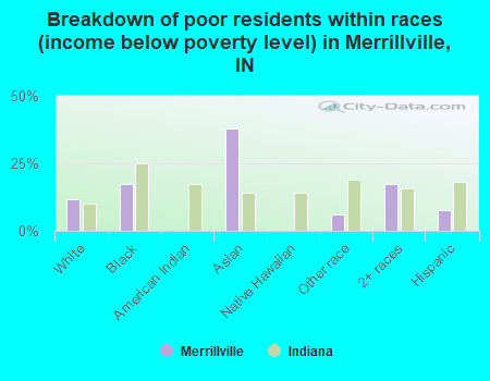 Breakdown of poor residents within races (income below poverty level) in Merrillville, IN