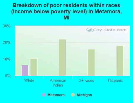 Breakdown of poor residents within races (income below poverty level) in Metamora, MI
