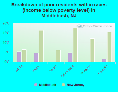 Breakdown of poor residents within races (income below poverty level) in Middlebush, NJ