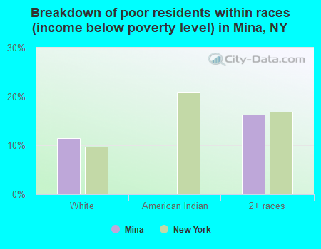 Breakdown of poor residents within races (income below poverty level) in Mina, NY