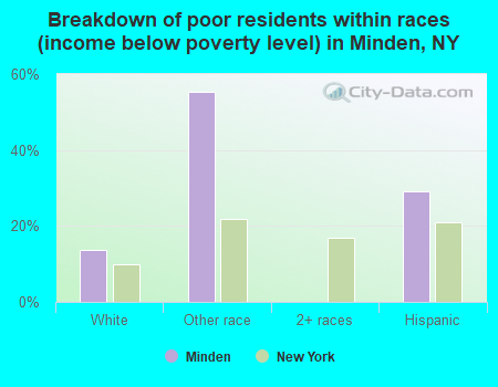 Breakdown of poor residents within races (income below poverty level) in Minden, NY
