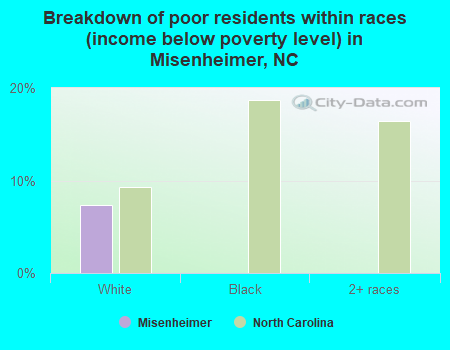Breakdown of poor residents within races (income below poverty level) in Misenheimer, NC