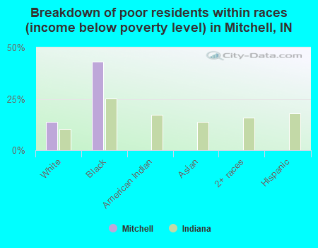 Breakdown of poor residents within races (income below poverty level) in Mitchell, IN