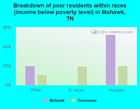 Breakdown of poor residents within races (income below poverty level) in Mohawk, TN
